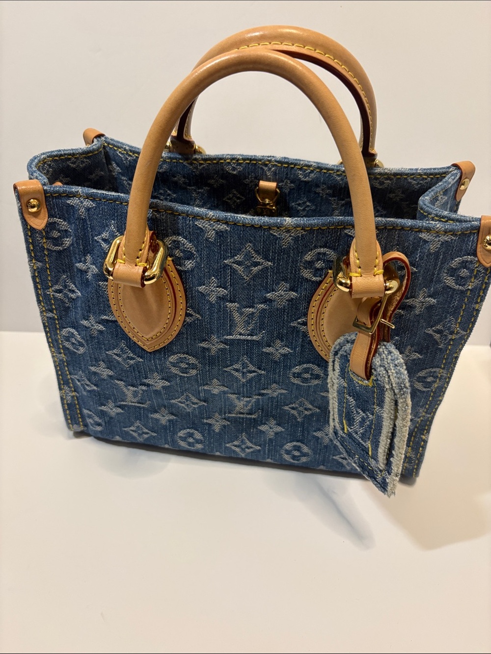 Louis Vuitton Denim Monogram on the go